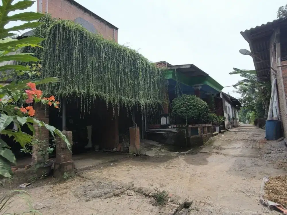 Tanah Sudah Urug +Rumah Sumber Wono - Bangsal Mojokerto , Orientasi Timur