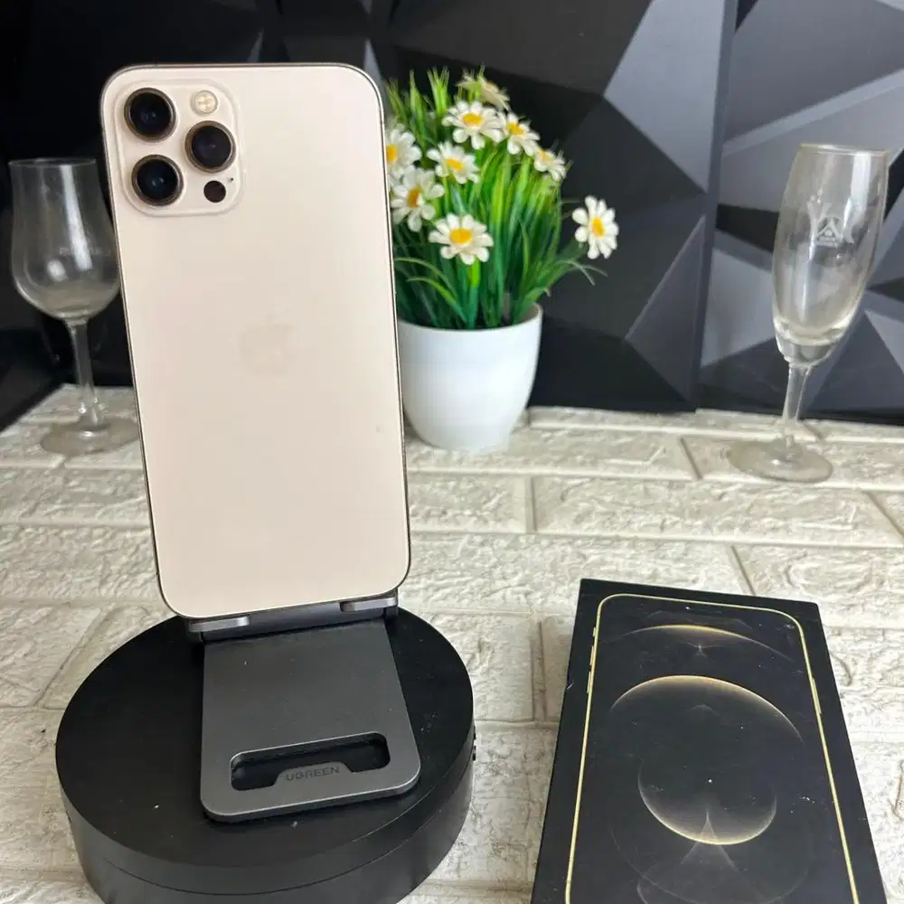 iphone 12 pro max 512gb Ex inter all provider bisa COD dan TT