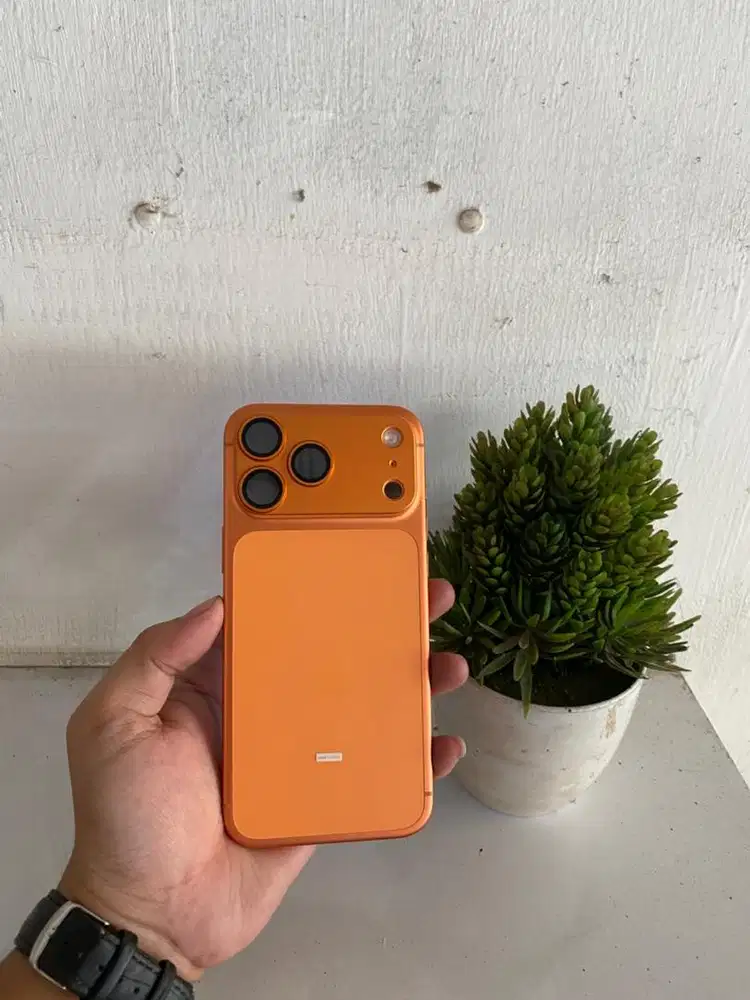 iPhone 17 promax 256