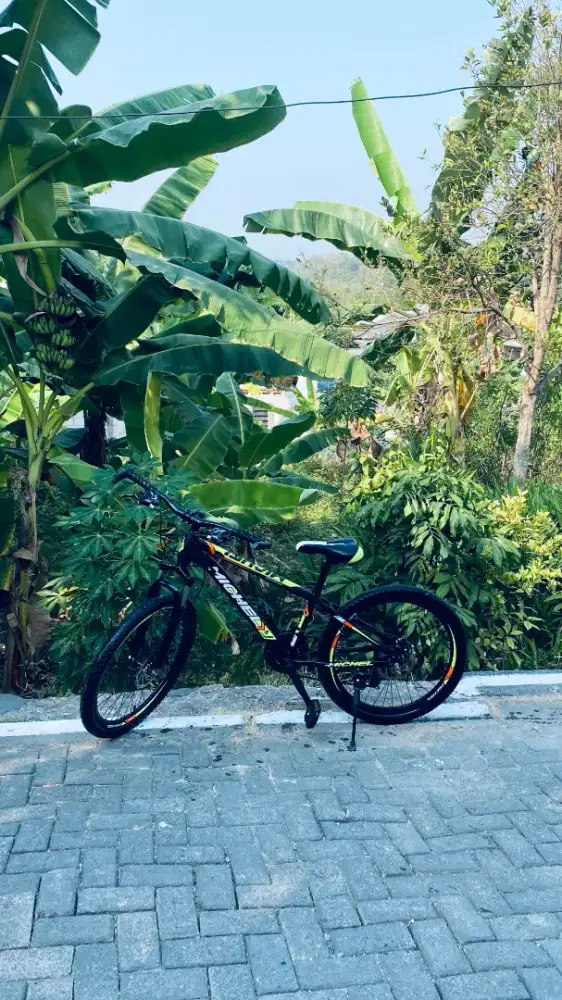 Sepeda bekas mtb gunung