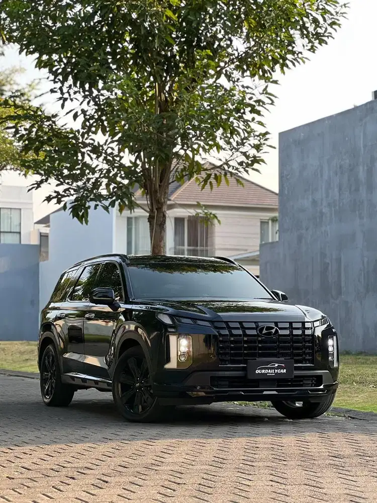 [CASH] Palisade Signature XRT 2.2D 2025 PMK TGN-1