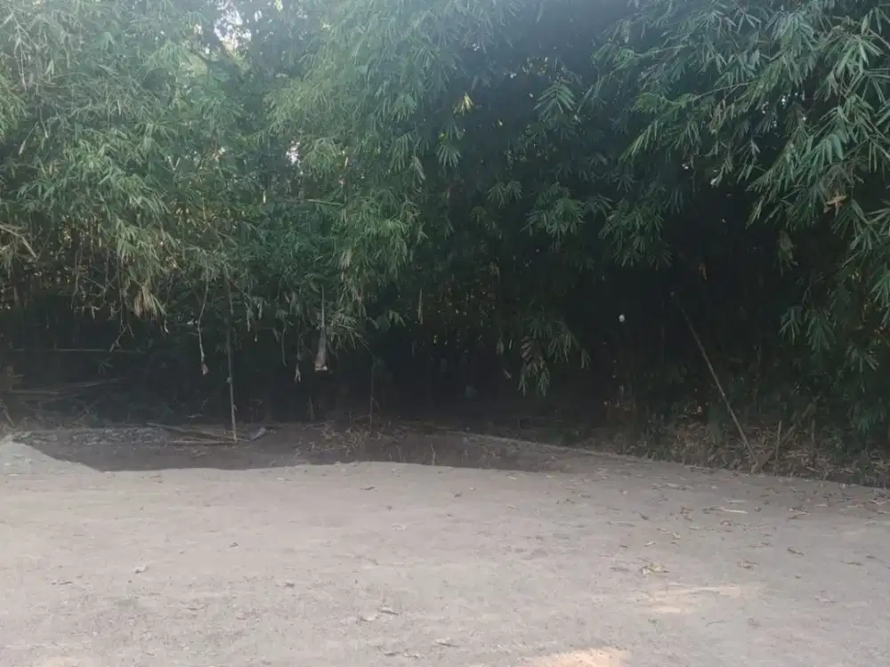 BU BUTUH CEPAT! TANAH 1.505M² CUMA Rp510 JUTA, SHM & SIAP DIKAVLING