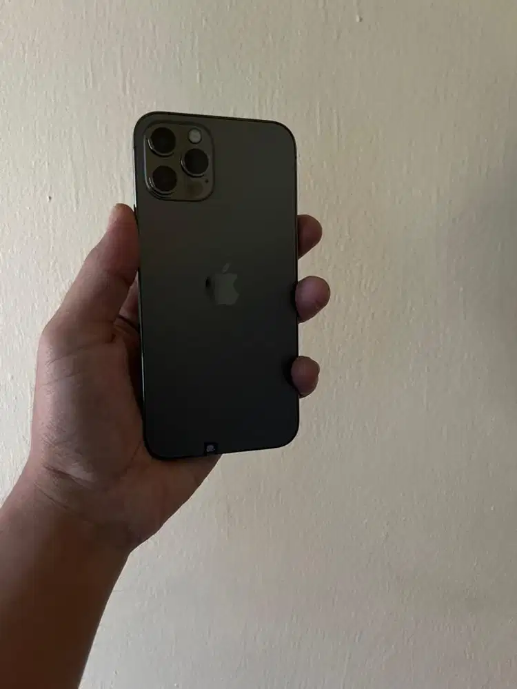 Iphone 12 pro 256gb inter all opp