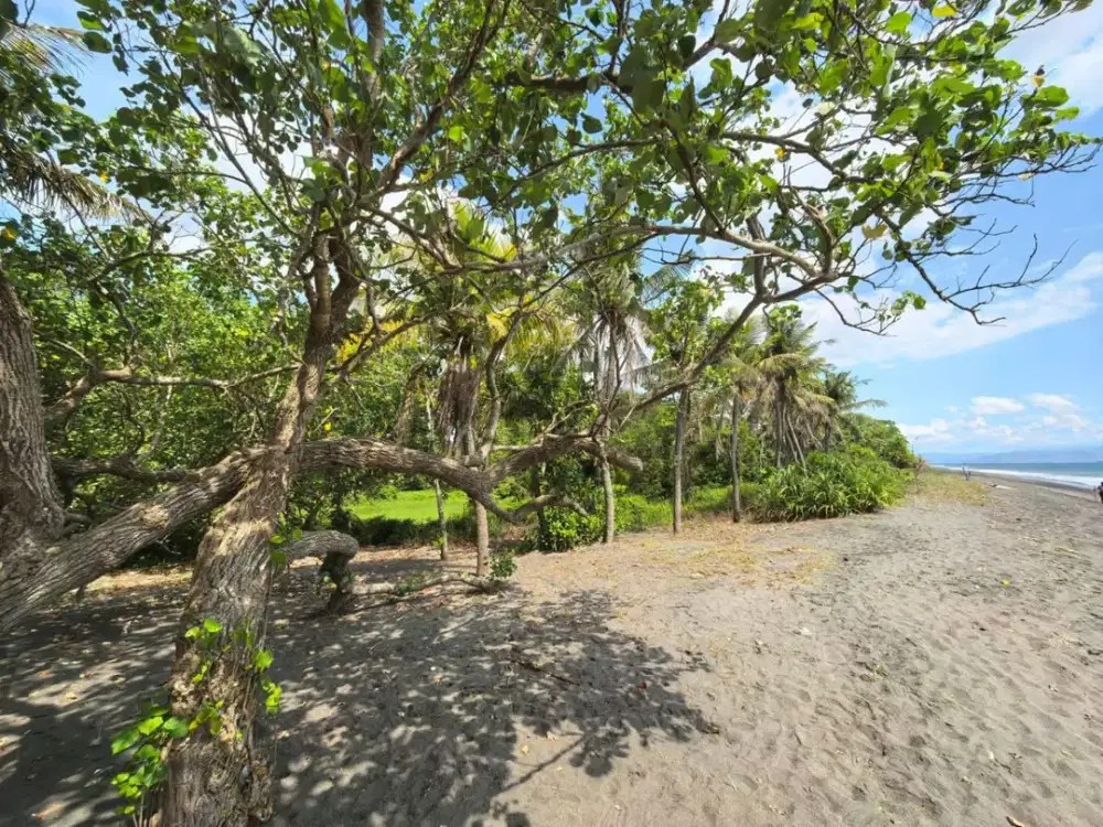 Tanah beachfront pinggir pantai Kuranji Lombok barat