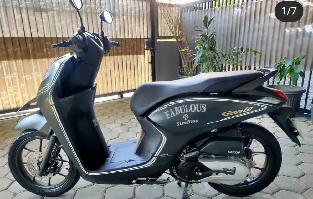Honda Genio 2019 black mate