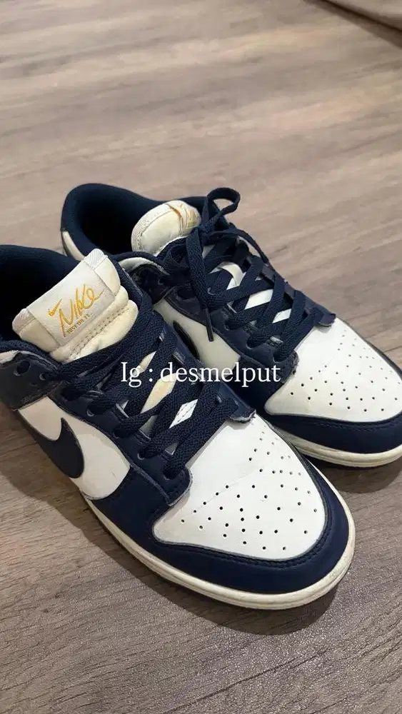 Nike Dunk Low Next Nature FZ6770-001 Original