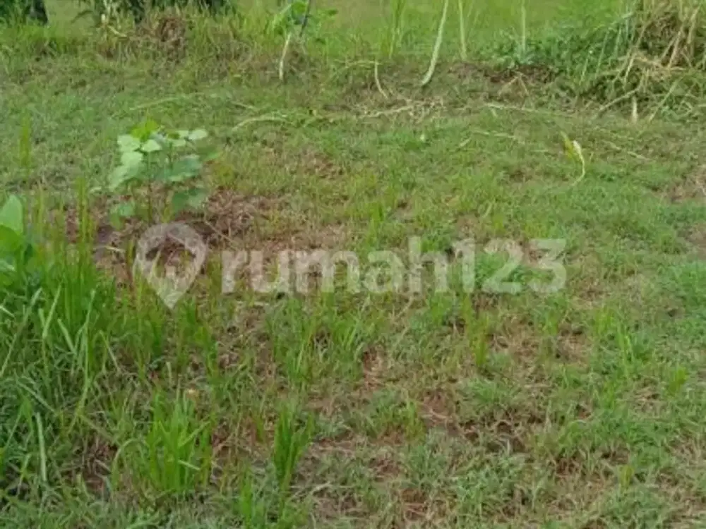 Jarang Ditemukan! Tanah Premium 1.700 M² di Singaraja-Lovina