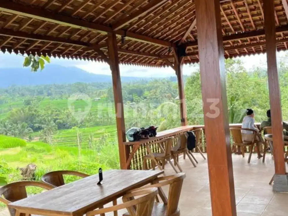 Villa dan Resto View Sawah Terasering Gunung Batukaru