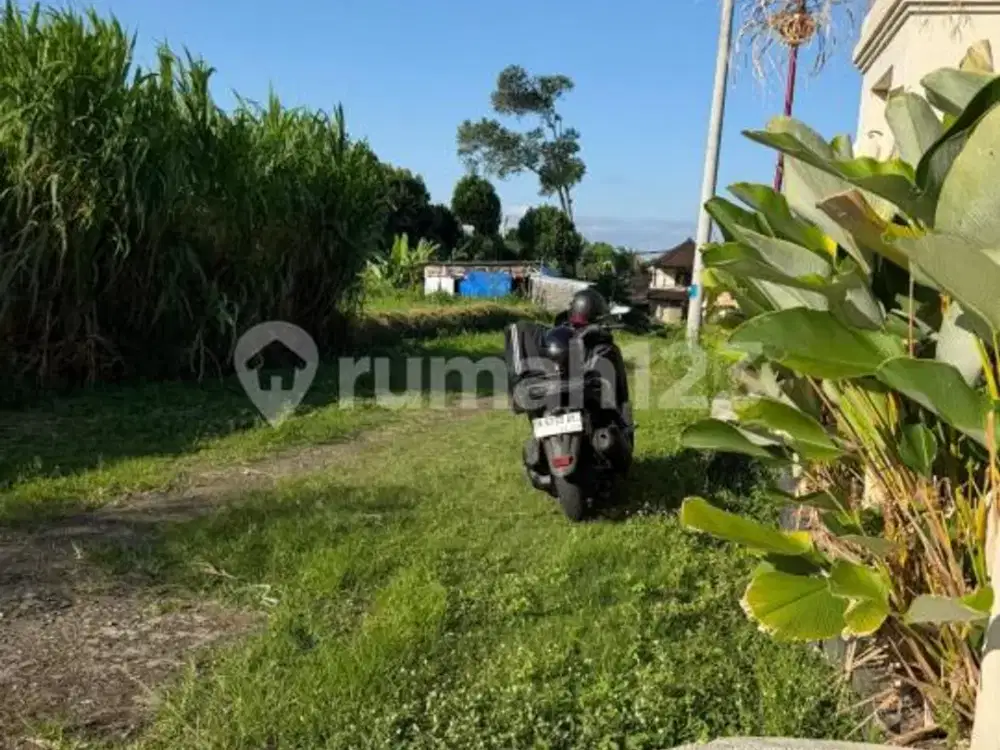 Rumah Lantai 2 Minimalis Modern Area Abianbase Gianyar Kota