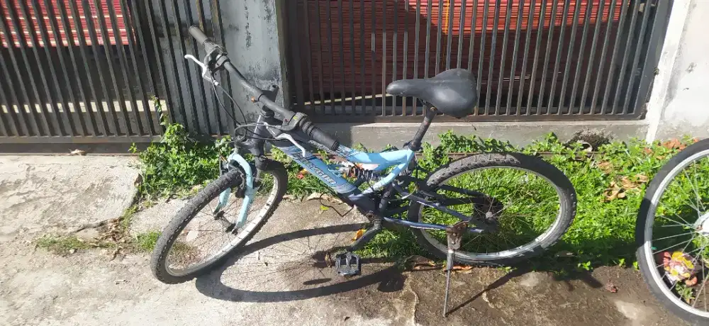 JL.sepeda polygon uk ban 24