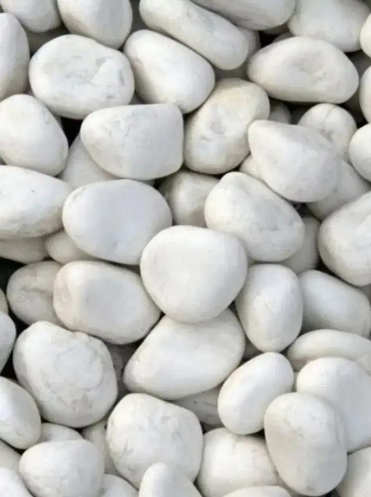 Batu koral Putih Taman 10 kg