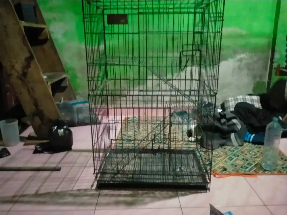 kandang kucing 2tingkat