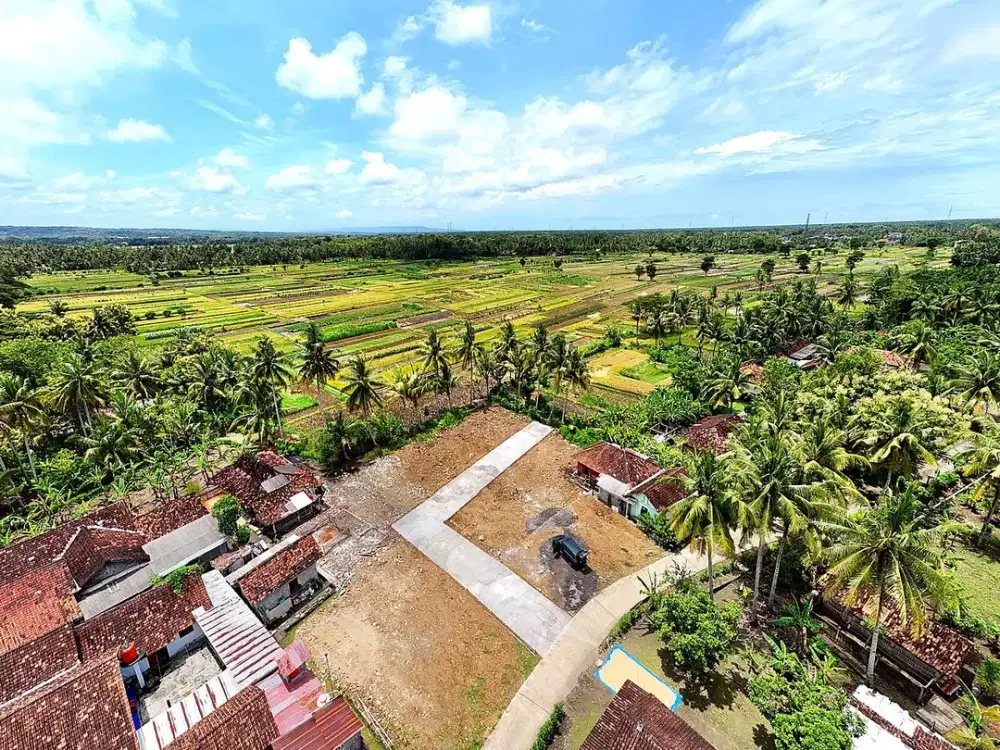 Dijual Tanah Yogyakarta di Pengasih Dekat Bandara YIA