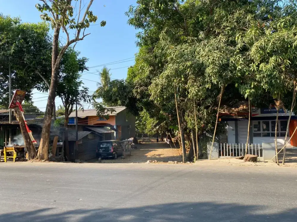 Tanah poros Malino km.6 LT. 600 m2 (10x60)