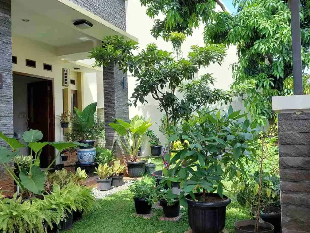 rumah tanah luas dibintaro