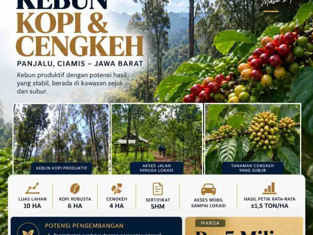 Dijual Kebun Kopi & Cengkeh 10 Ha – Panjalu, Ciamis