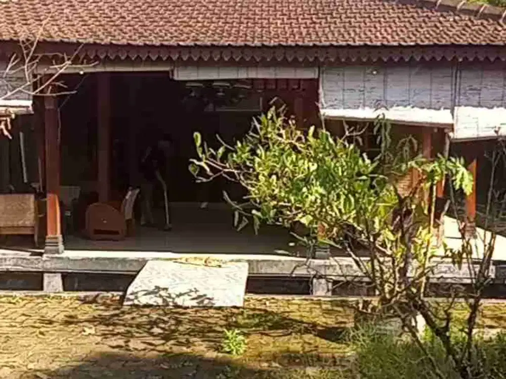 Villa Joglo View Sawah Dan Merapi Di Turi Sleman Dekat Resto Boyong Kalegan