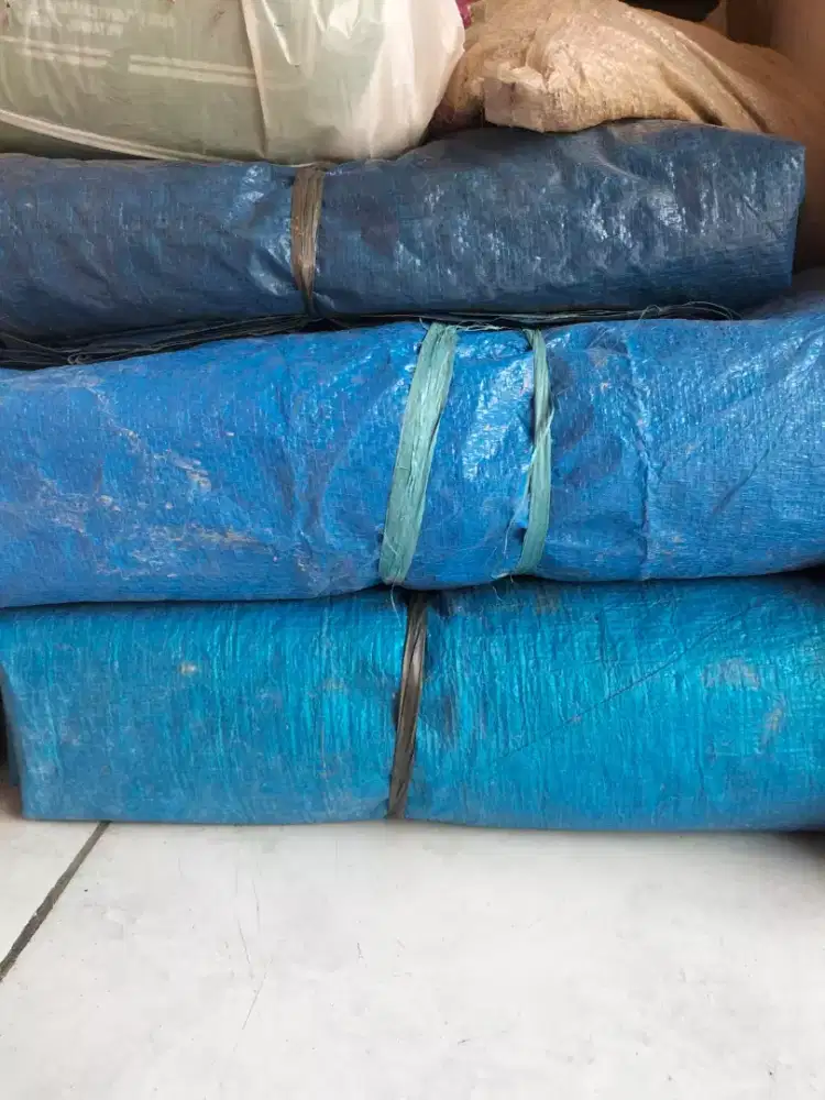 Terpal biru bekas lebar