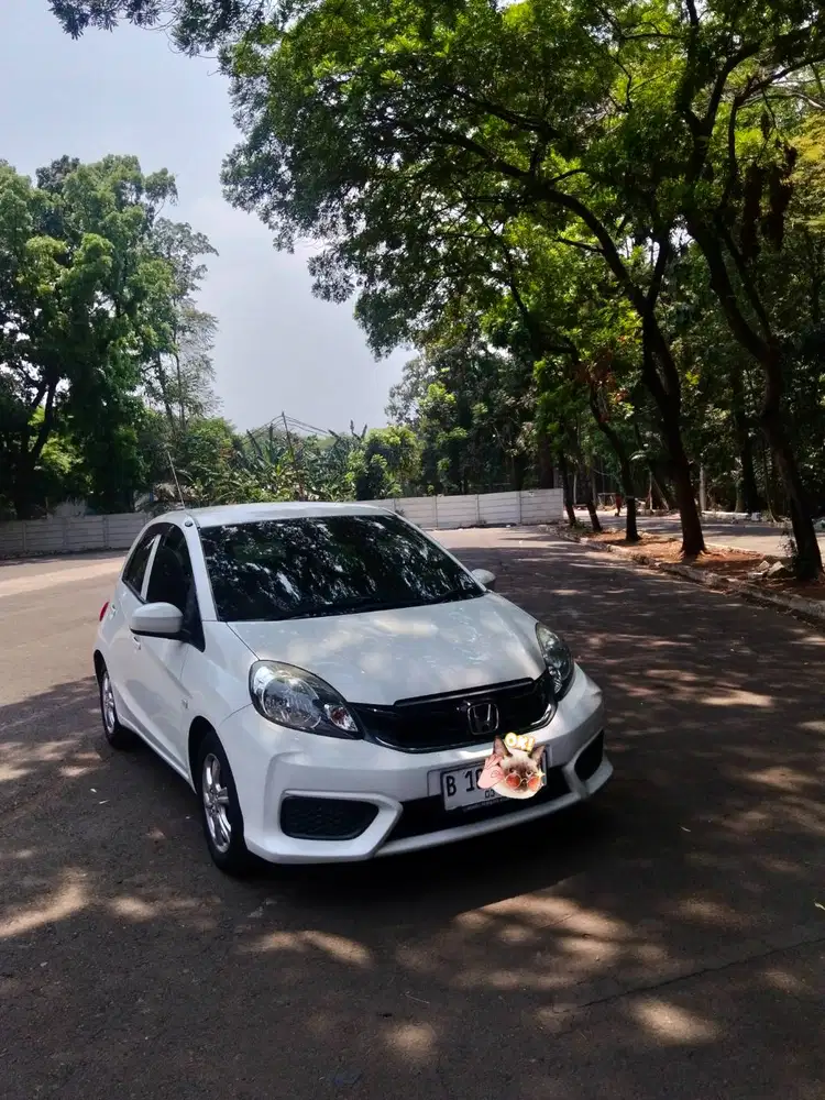 Brio Satya manual 2018