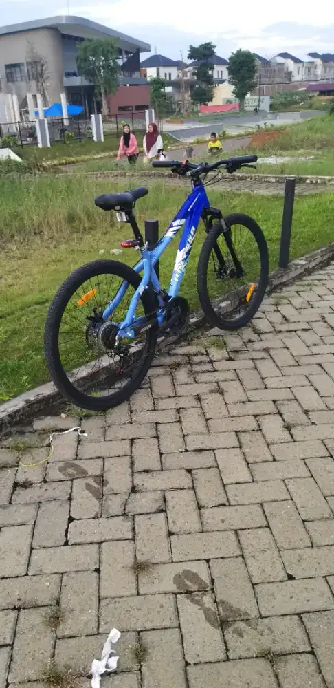 Polygon edisi khusus DirtJump MT300