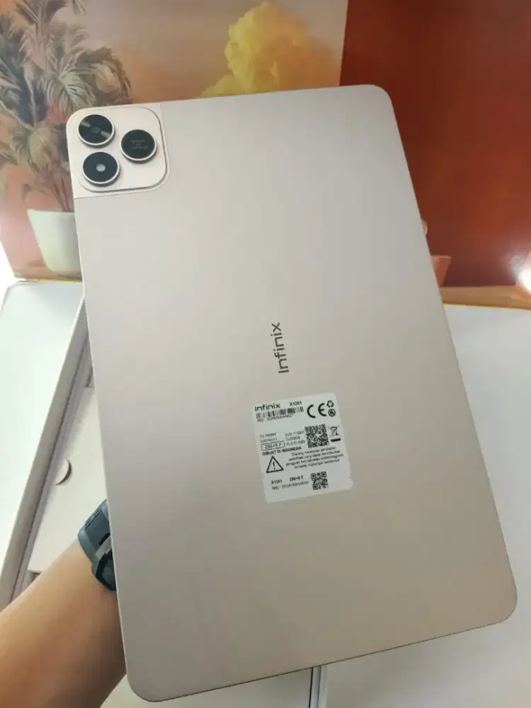 Infinix Xpad 20 pro 8/256