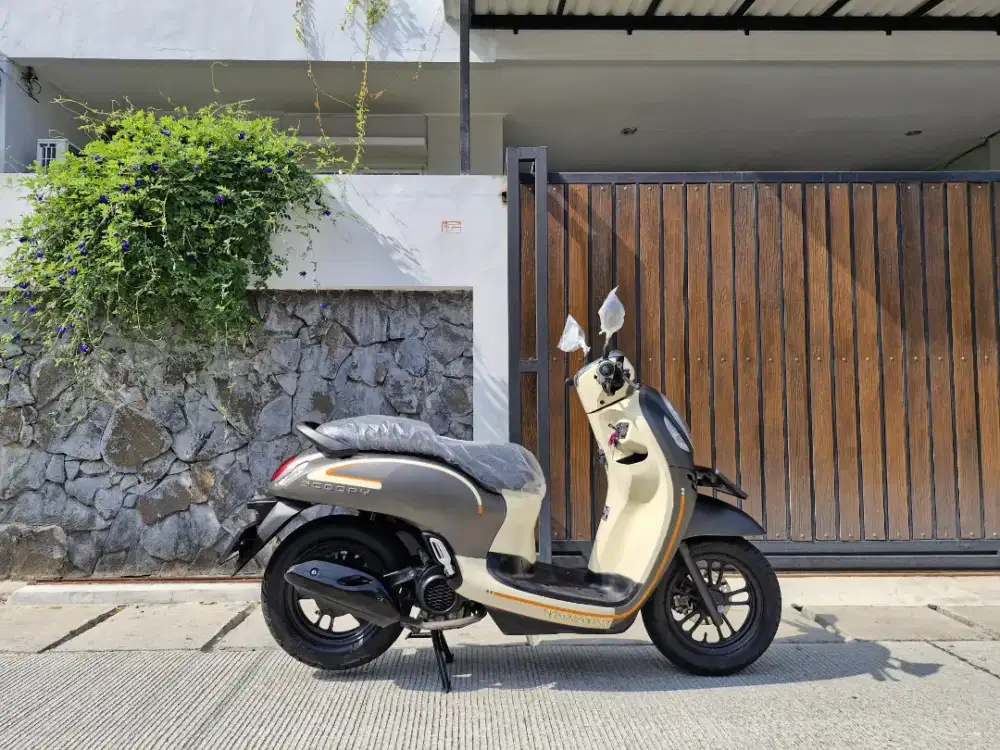 DP HANYA 800 K AJA⁉️HONDA SCOOPY FASHION TH 2023