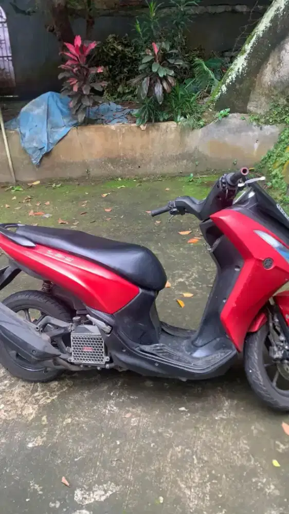 JUAL LEXI 2018.