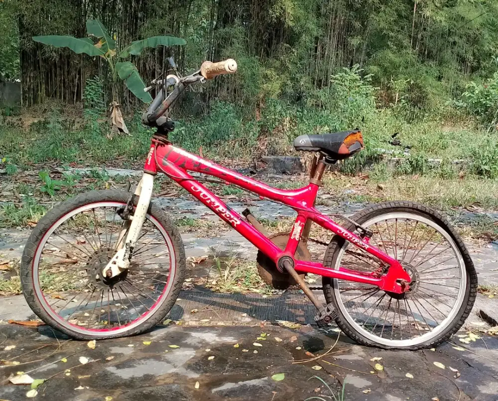 sepeda anak model BMX
