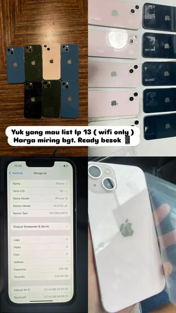 Iphone 13 wifi only