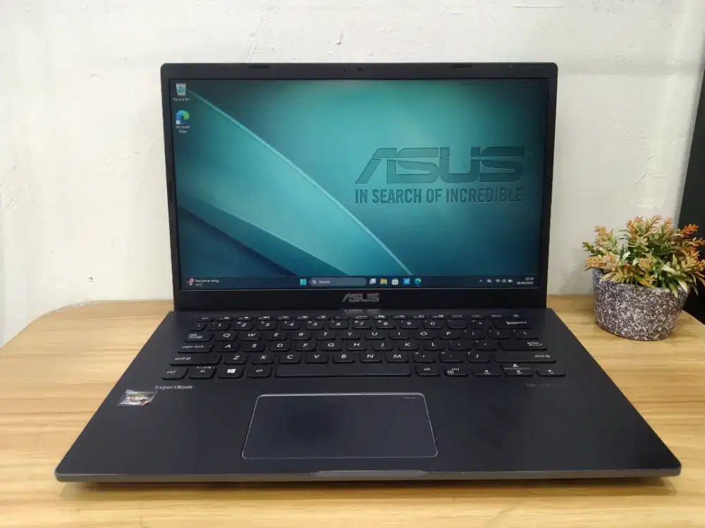 Asus ExpertBook Ryzen 3 3250U/RAM 8GB/SSD 256GB/14 HD/WIN 11