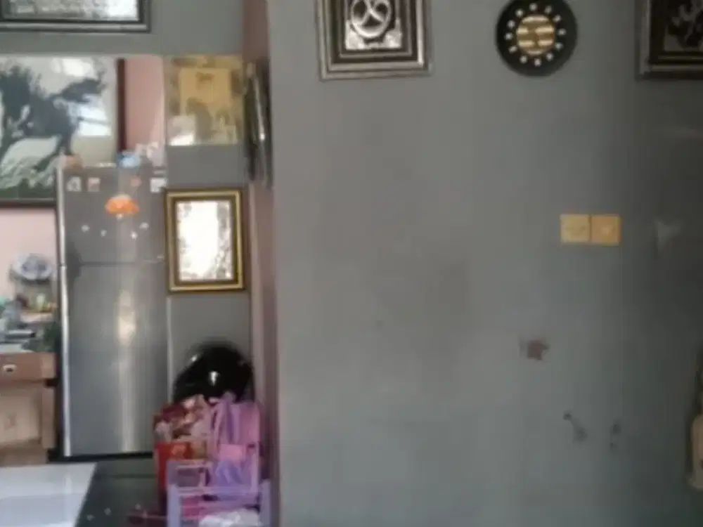 Puri Safira