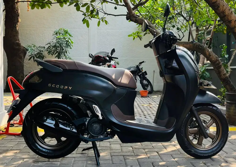 Honda scoopy prestige