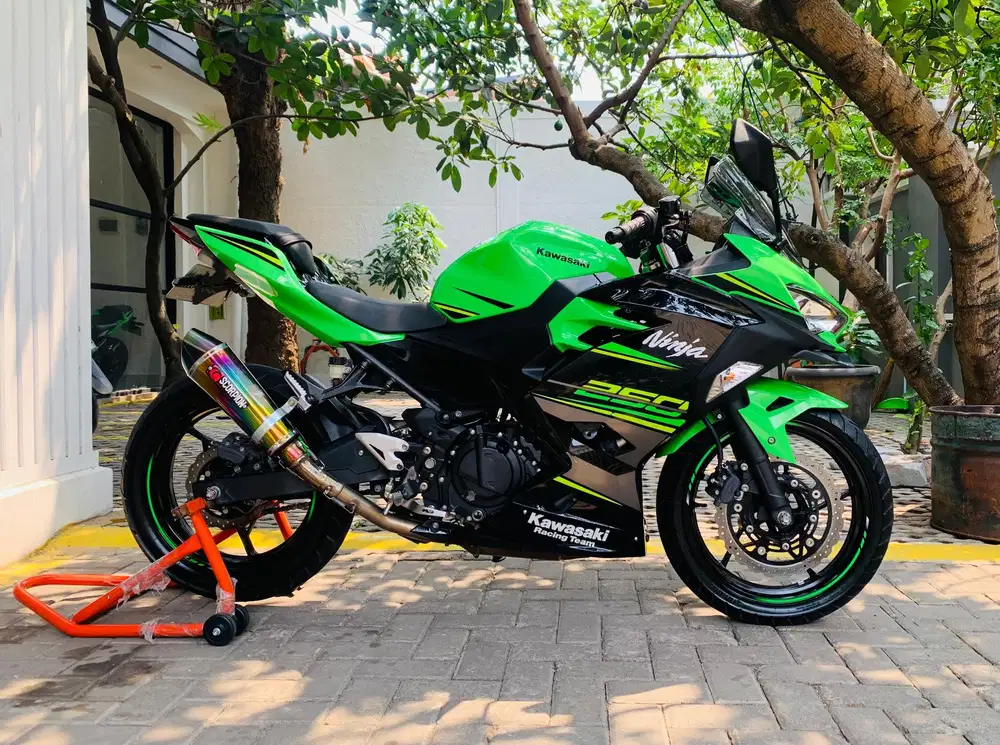 Kawasaki ninja 250 KRT
