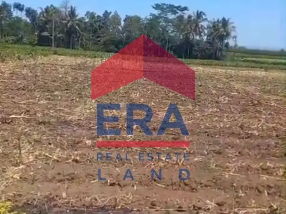 Dijual Tanah di Dusun Tegaron Panggungrejo Kepanjen Kabupaten Malang