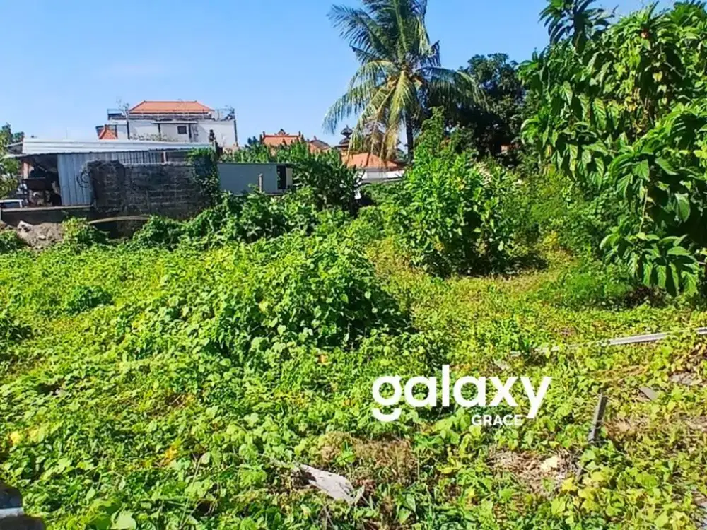 DIJUAL TANAH DI RAYA PADONAN CANGGU BADUNG
