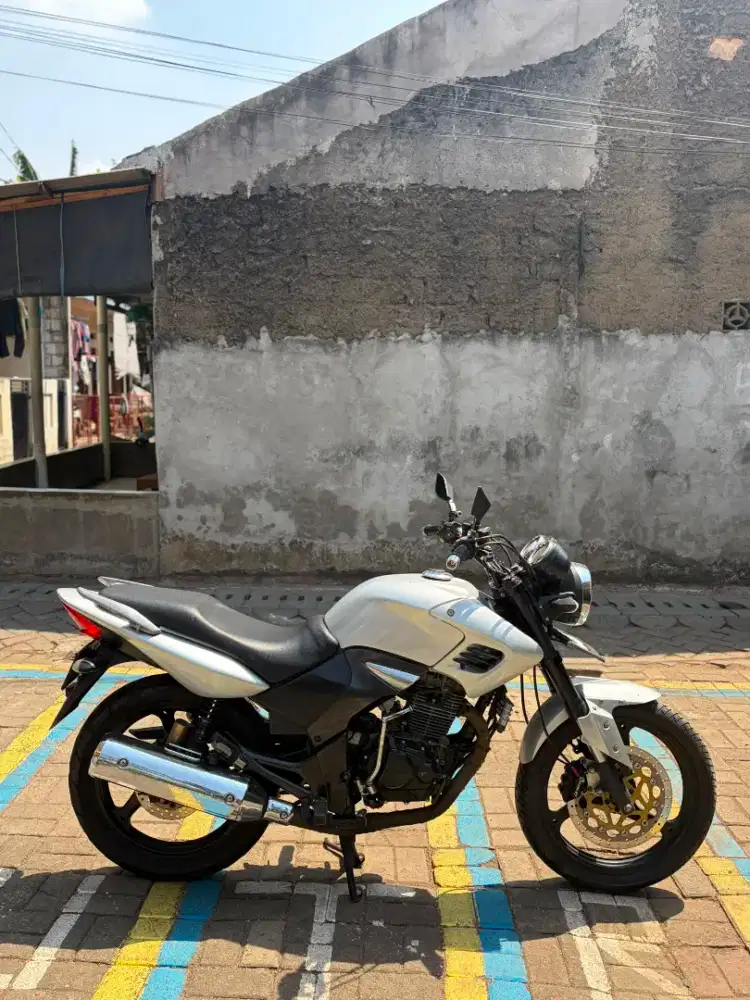 Tiger Revo 2007