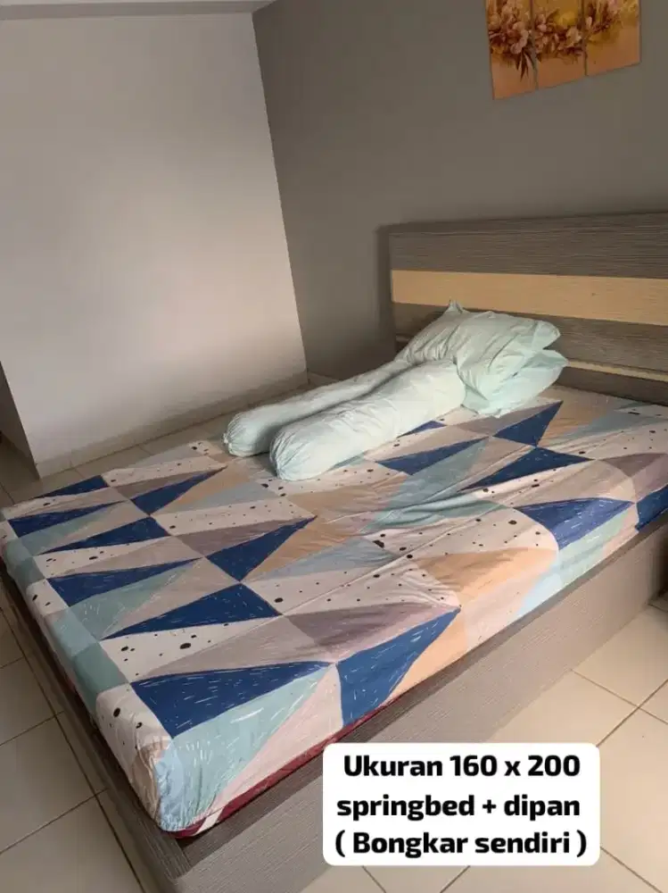 dipan + kasur springbed UK 160 x 200