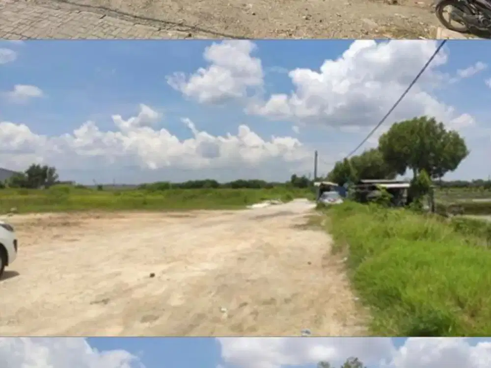 Jual Via Lelang Tanah Murah di Nol Jl Raya Manyar Gresik 2,6HA