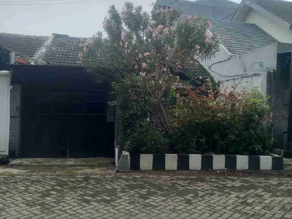 Dikontrakkan cocok untuk mess, gudang, office Wiguna UPN