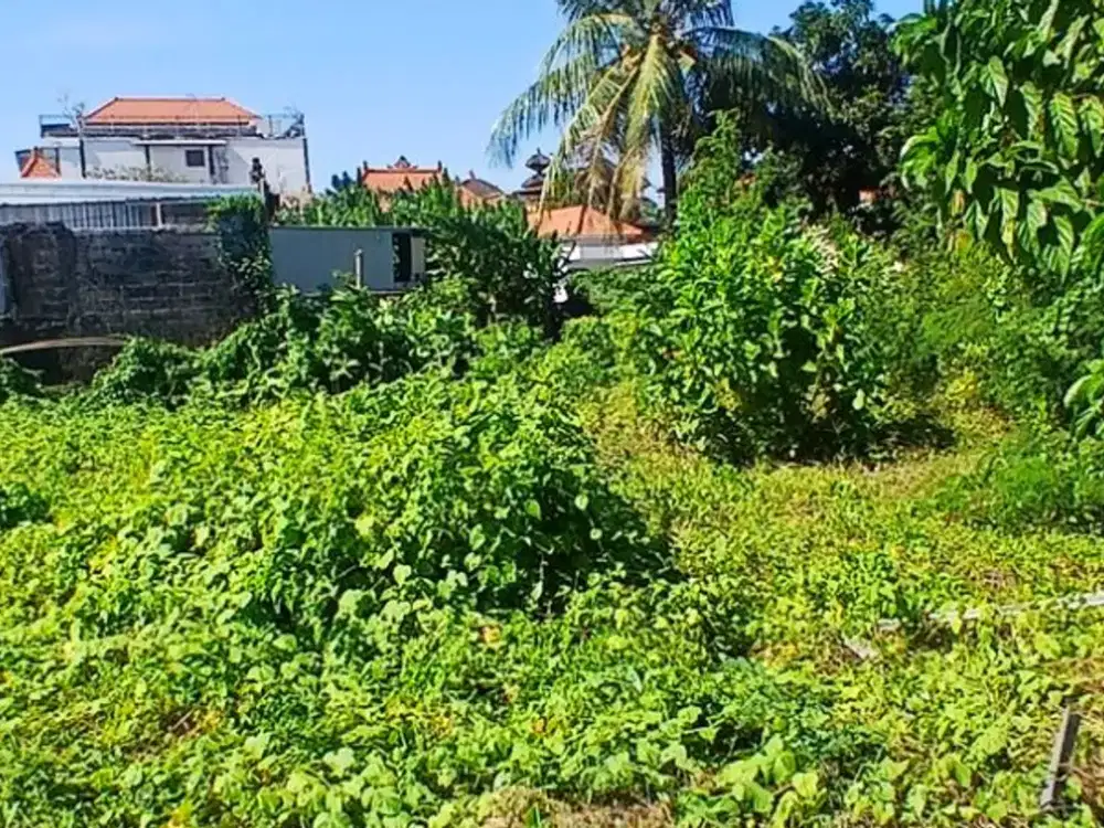 TANAH DI JUAL DI JL RAYA PADONAN CANGGU BADUNG