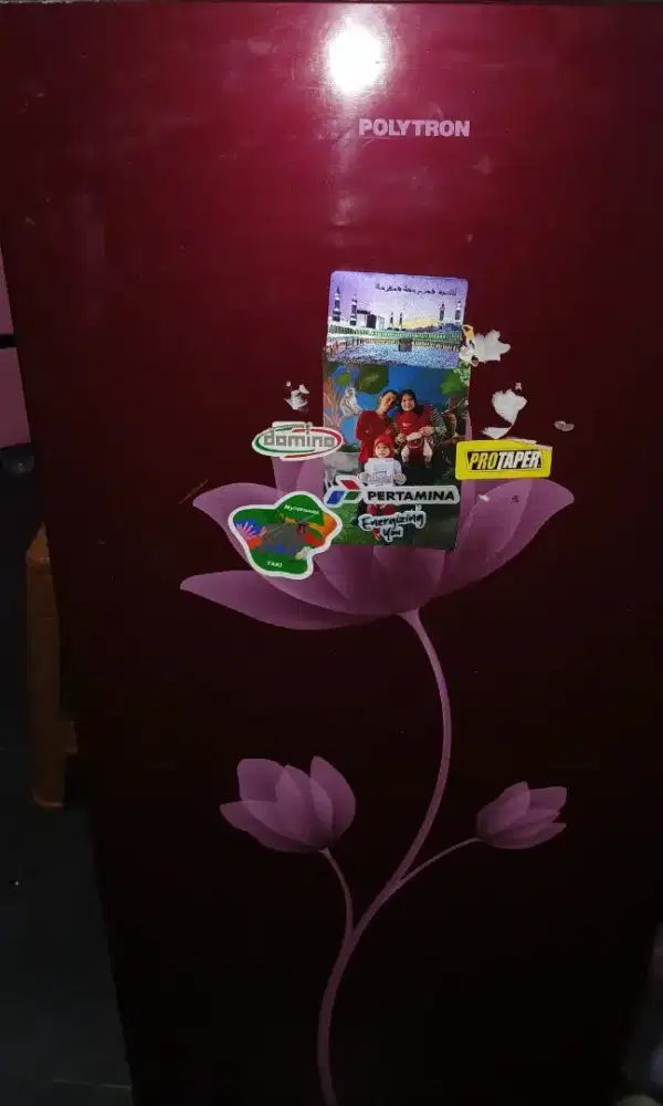 BU kulkas 1 pintu