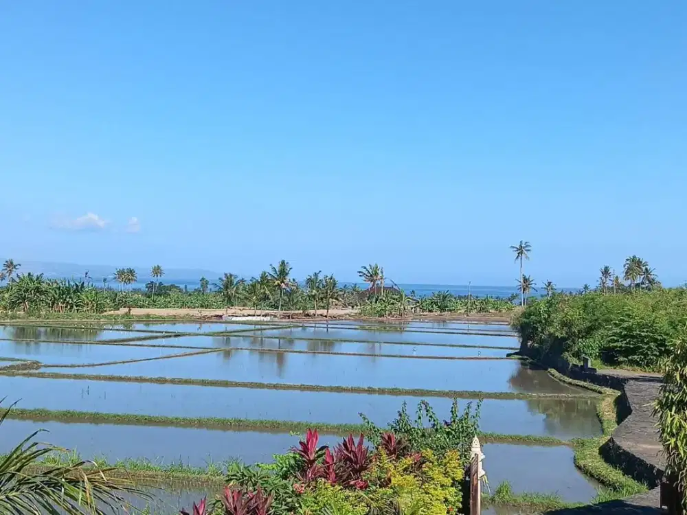 Ocean, Rice Fields & Mountain Views