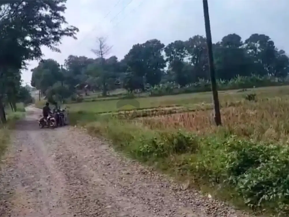 Dijual Lahan Komersial untuk Pabrik / Gudang di Padaasih Subang Luas 35 Hektar