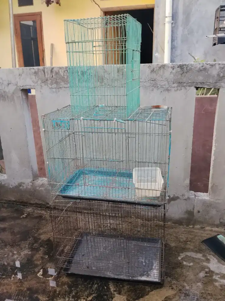 Kandang besi ukuran sedang