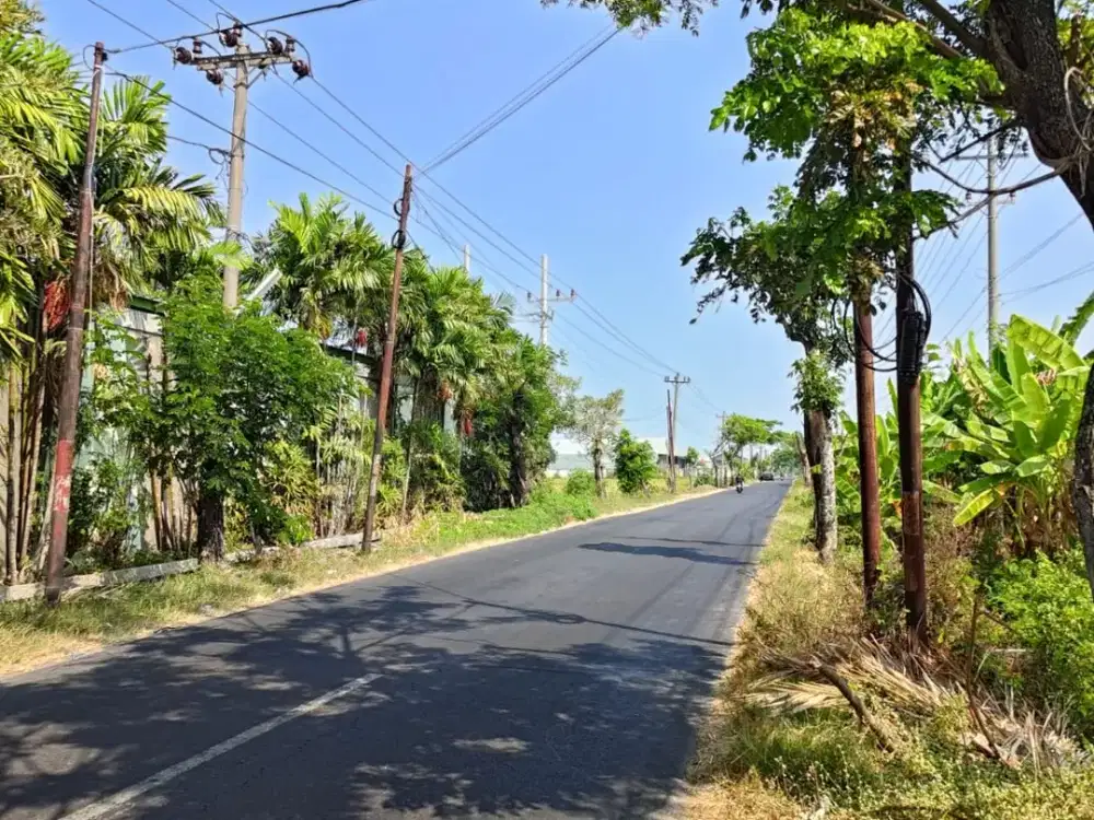 Dijual Tanah Langka Super Murah Pinggir Jalan Mojo Tasikmadu Zona Merah Industri Lokasi Premium