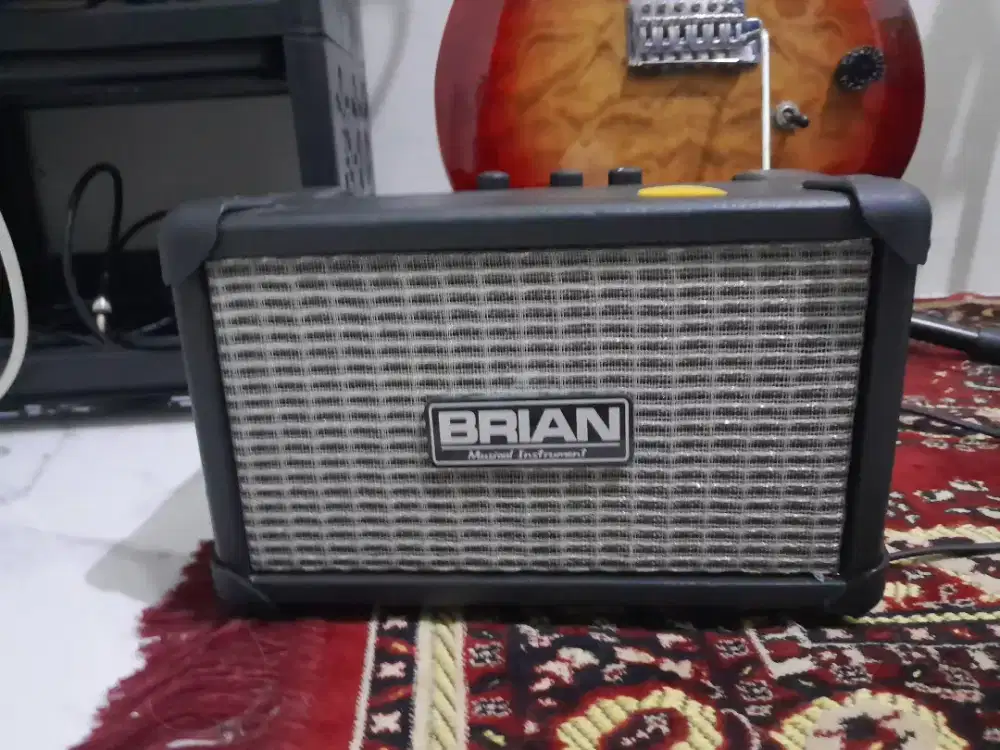 ampli Brian 4inc