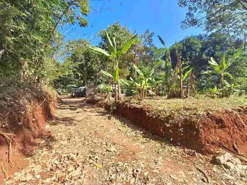 tanah murah cocok untuk investasi di gunungpati