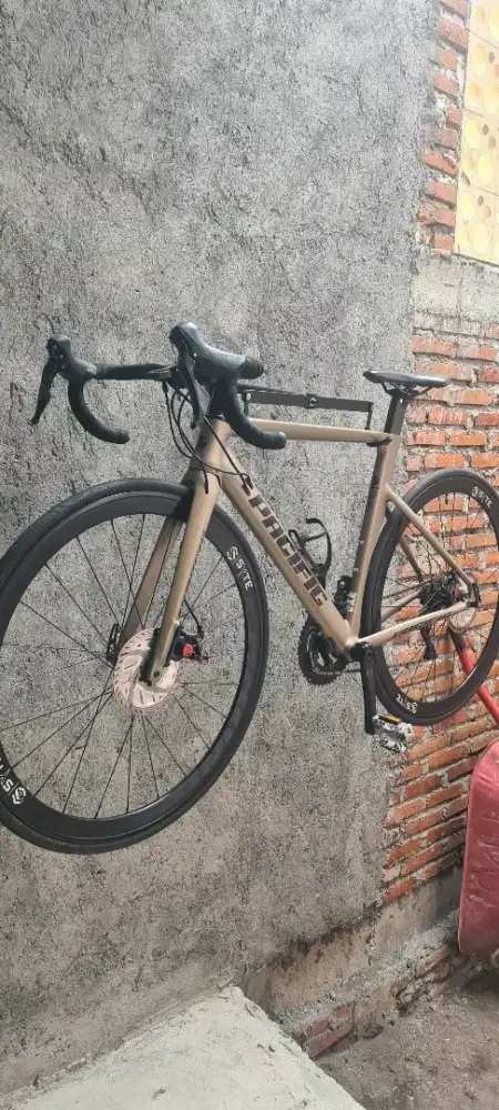 Roadbike magenta PASCIFIC 2×11 simano