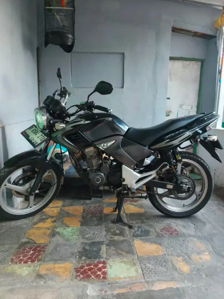 Tiger revo 2008