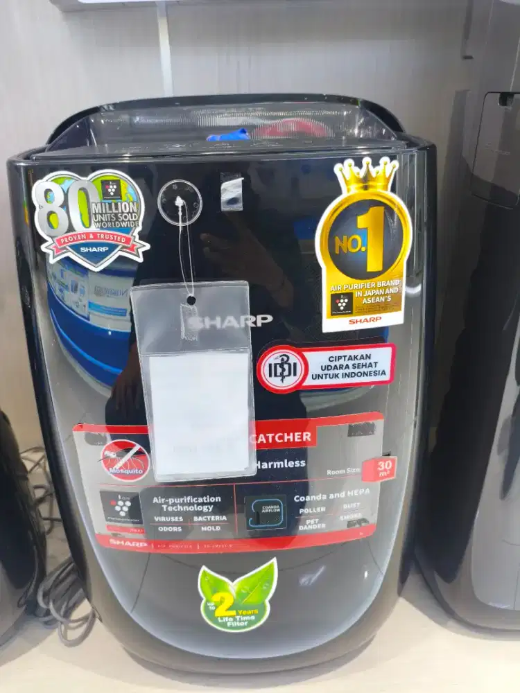 AIR PURIFIER WITH MOSQUITO CATCHER